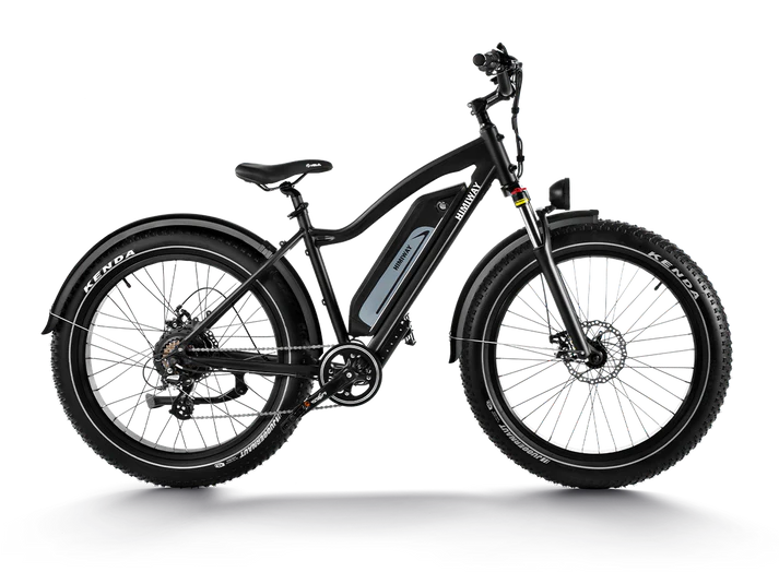 Himiway D3 - Cruiser